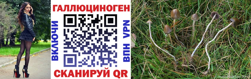 купить закладку  Малоархангельск  Галлюциногенные грибы мицелий 